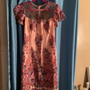 Beautiful NWT Shoshanna embroidered dress